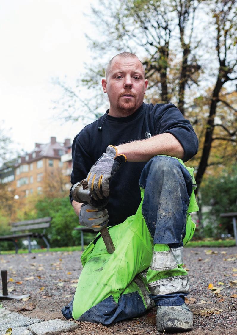 14 Motioner och utlåtanden