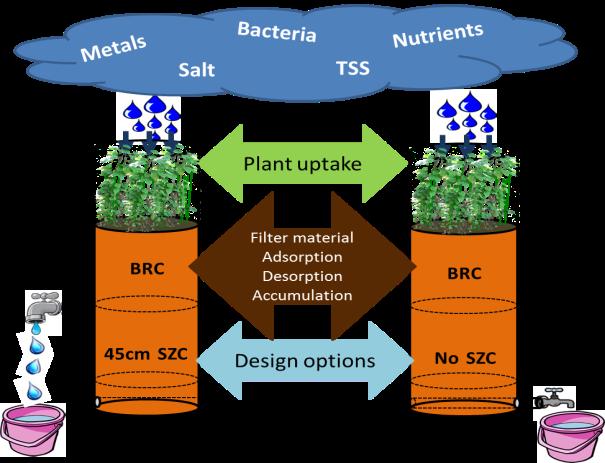 Biofilter är konstruktivt växtbevuxna infiltrationsbäddar, där vattnet infiltrerar och renas av växterna och filtermaterialet, se figur 4.