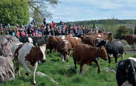 Resultat: Vid utgången av 2016 hade Från Sverige-symbolen drygt 100 användare. Webbsidan www. fransverige.se har skapats för att informera om märkningen och listar godkända märkesanvändare.