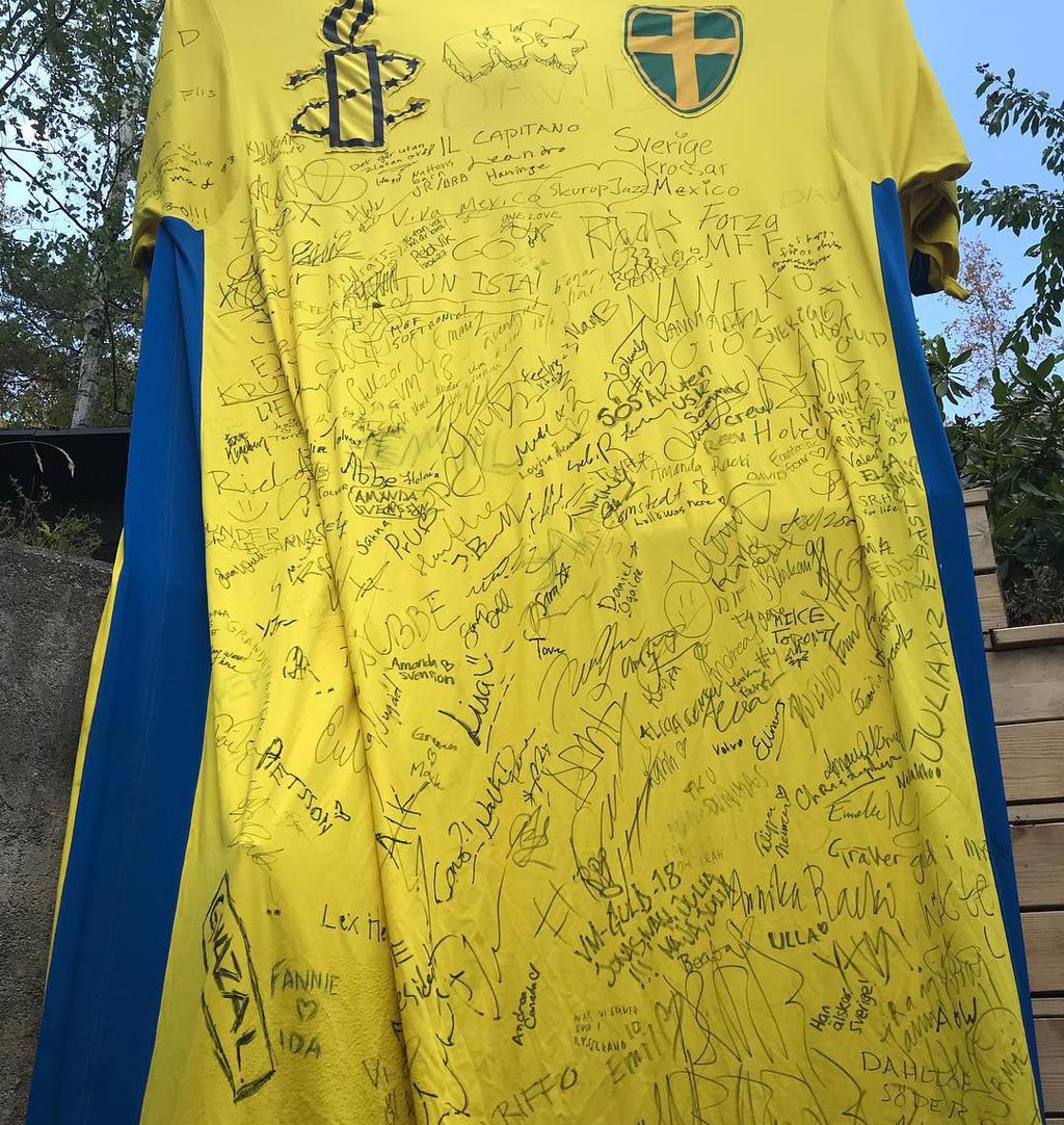 Sammanlagt samlades över 9 060 namnunderskrifter in, och de (inklusive tröjan) kommer lämnas över till ryska ambassaden inom kort.