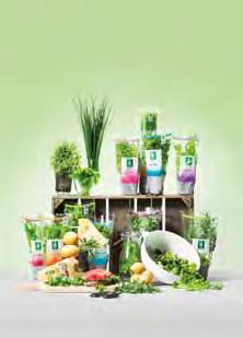 hållbarhetsredovisning Leverantörer OCh affärspartners Färska i kruka: dill, gräslök, mynta, dragon, koriander, timjan, citronmeliss, oregano, basilika, rosmarin, bladpersilja, persilja är att 16
