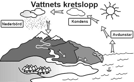 (is). Det gör att is blir lätt och flyter ovanpå vattnet, annars hade haven bottenfrusit och det hade inte funnits liv i haven på norra och södra halvkloten. 16. Vad är ytspänning?