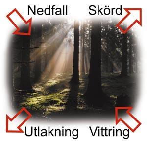 Försurningsmodeller MAGIC (Model of Acidification of Groundwaters in