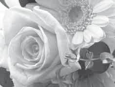 26 -- :-- Y/M/D 16 M NORM 100-0004 12/02/26 12:30 ESP/ Digital Zoom ESP Off Sel. Image (1) OK 4/30 Single Print More Back MENU Skärmguider indikerar hur m- och A-knapparna och zoomreglaget används.
