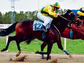 4 2400 Dirt-track 13.47 LD-2 H64 SILVERHANDICAP För 3-åriga och äldre hästar. Vikt: Aktuellt handicaptal 3-åriga minus 15 kg, äldre 12 kg. 75.000 kr 37.500-18.750-9.000-6.000-3.