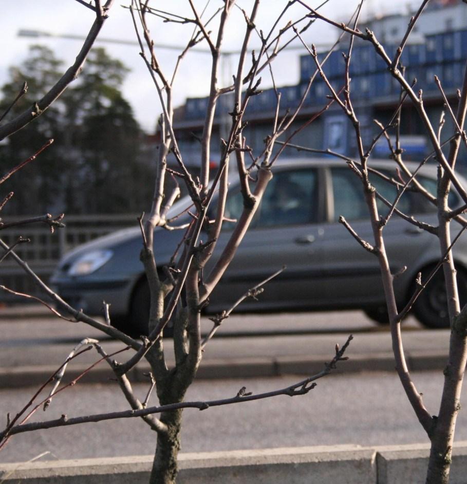 TRAFIKUTREDNING DETALJPLAN ROSENDAL UPPDATERAD TRAFIKPRGNOS Rapport 2015-06-12 Upprättad