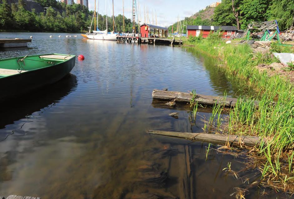Dykfynd 14 En fartygslämning innanför Nacka 228 med järnbultar, den är fylld med sten och längden är cirka 30 meter. Ett prov av furu och ett av ek skickades in för dendrokronologisk analys.