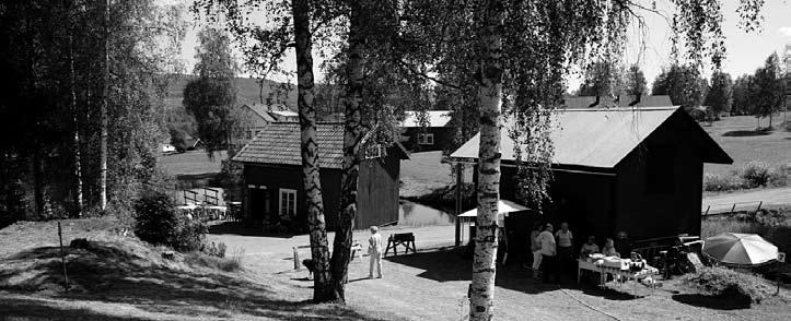 Kom och se det spännande ankracet! Skvaltkvarn.