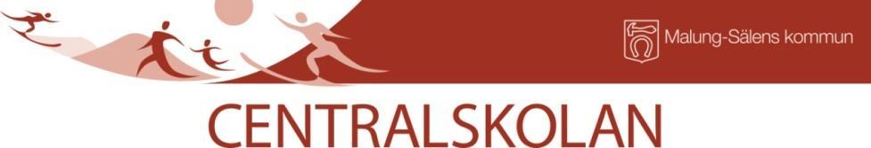 Verksamhetsformer som omfattas av planen: Grundskolan och Grundsärskolan 6-9 Planen gäller 171015-181014 CENTRALSKOLANS ÅRLIGA PLAN FÖR ATT - främja likabehandling - förebygga