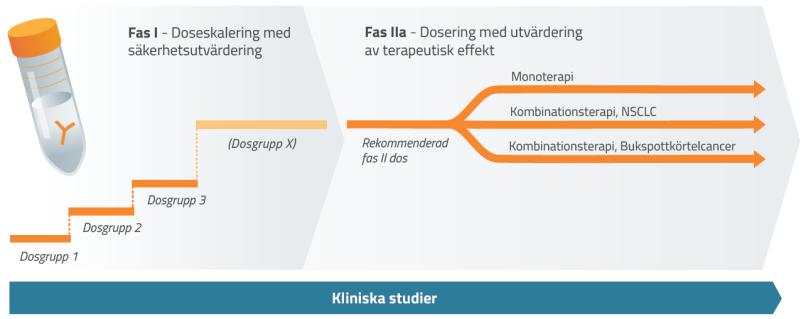 dock tala för en relativt snabb övergång. Efterhand ska studien expanderas med ytterligare ett femtontal kliniker.