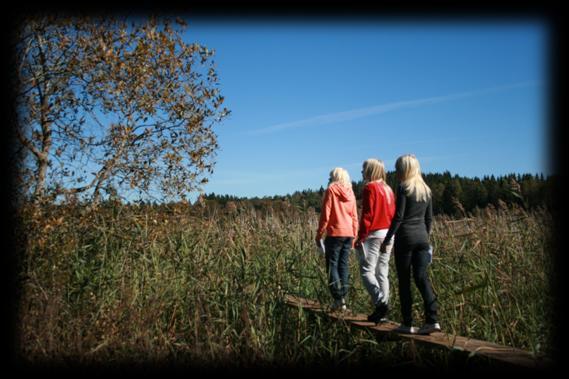 7.5 Projekt Ljungsnäsaområdet Syftet är att tillgängligöra och utveckla naturvärdena i området kring Ljungsnäsasjön.