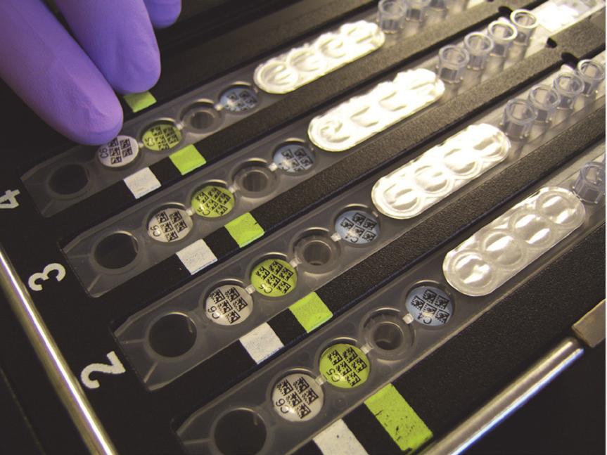 Figur 1: Kläm fast BD MAX Enteric Bacterial Panel Extraction Tubes (extraktionsrör för enterisk bakteriell panel) och BD MAX Enteric Bacterial Panel och BD MAX Extended Enteric Bacterial Panel Master