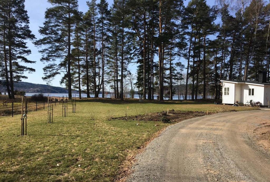 Vid tomtplatsens sydöstra hörn finns en äldre brunn Staketet utmed hela