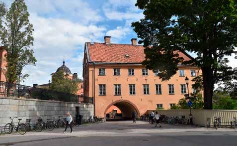 Trots att Uppsala är en stor, växande stad finns ändå en naturlig närmiljö, som Stockholm inte alls kan erbjuda, säger han.