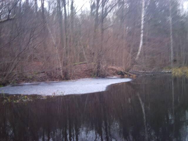 Figur 5. Kvarndammen. Foto: Arkeologgruppen. Kvarndammen är belägen norr om kvarnen och här finns branta sluttningar ner mot dammen från ovanliggande marknivåer.