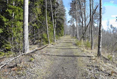 Dalkarlsbacken se hur den gamla vägen gått uppför en tvärbrant ås emellan berghällar och stenar.