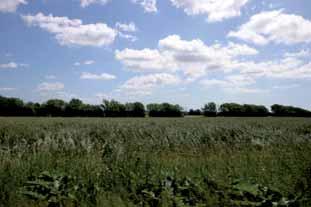 Tomelilla 19 13 3 Hedeskoga 2 Stora Herrestad 1 9 Ystad Hänsynsområden för naturvård landskap Geologi Naturgeografiskt tillhör området skånska sydvästslätten och jordarterna utgörs främst av