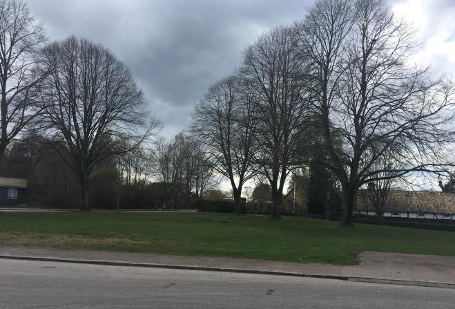 FÖRUTSÄTTNINGAR Natur Mark och vegetation Vegetationen inom planområdet består av gräsytor och stora lövträd i nuvarande grönområde. Nygatan och Trädgårdsgatan är asfalterade.