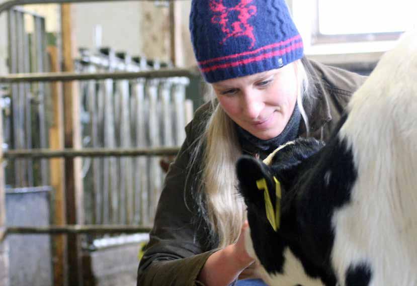 STOLTA VÄSTSVENSKA LEVERANTÖRER Nötköttsproducenterna Lina och Rasmus Helin har på kort tid både startat upp sin verksamhet och utökat med ett nytt stall.