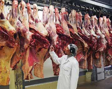 MÄNNISKORNA BAKOM PRODUKTERNA Korvar, hamburgare, färser, grilldetaljer och välmarmorerat nötkött är några exempel på vad som produceras på KLS Ugglarps anläggningar runt om i landet.