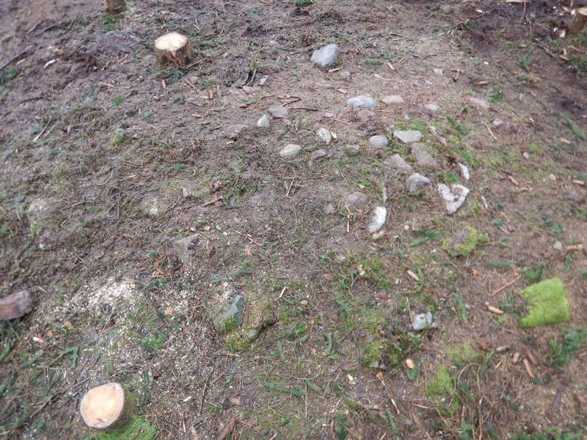 Fig. 10. Foto av gravröset taget uppifrån.