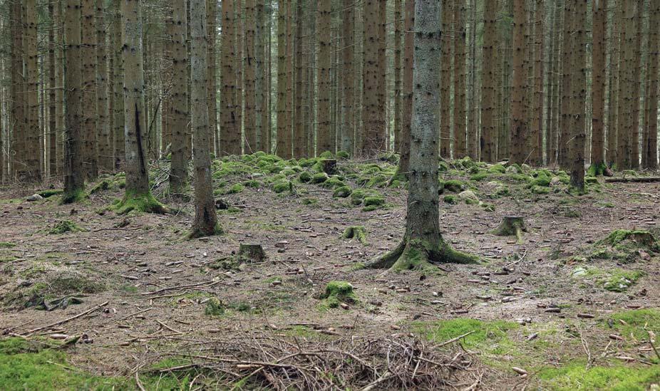 Under revideringsinventeringen påträffades dessutom i norra delen av fornlämning nr 346 två tidigare ej kända stensättningar, vilka ytterligare förstärker denna bild.
