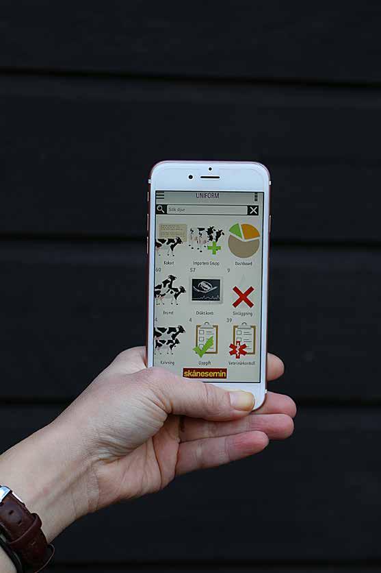 Även söndagar SMS-jäns: Vill du få idsangivelse ill mobilen?