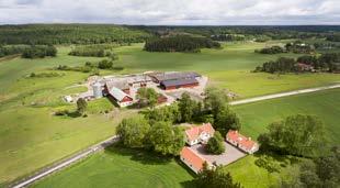 Evertsholm Sörby gård Gården Evertsholm ligger vid Göta kanal inte långt från Söderköping i Östergötland. Här föds svensk Rapsgris upp av Catrin och Jan Siverskog.