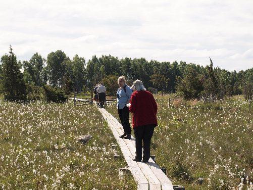 Hagebyhöga (foto: I.W.