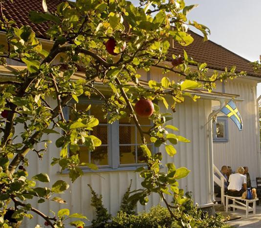 kriminalvård och/eller
