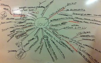 Social franchising analysis - workshop Analyzes and streamlines core values, motivations, business, keys to success, franchisees, roles