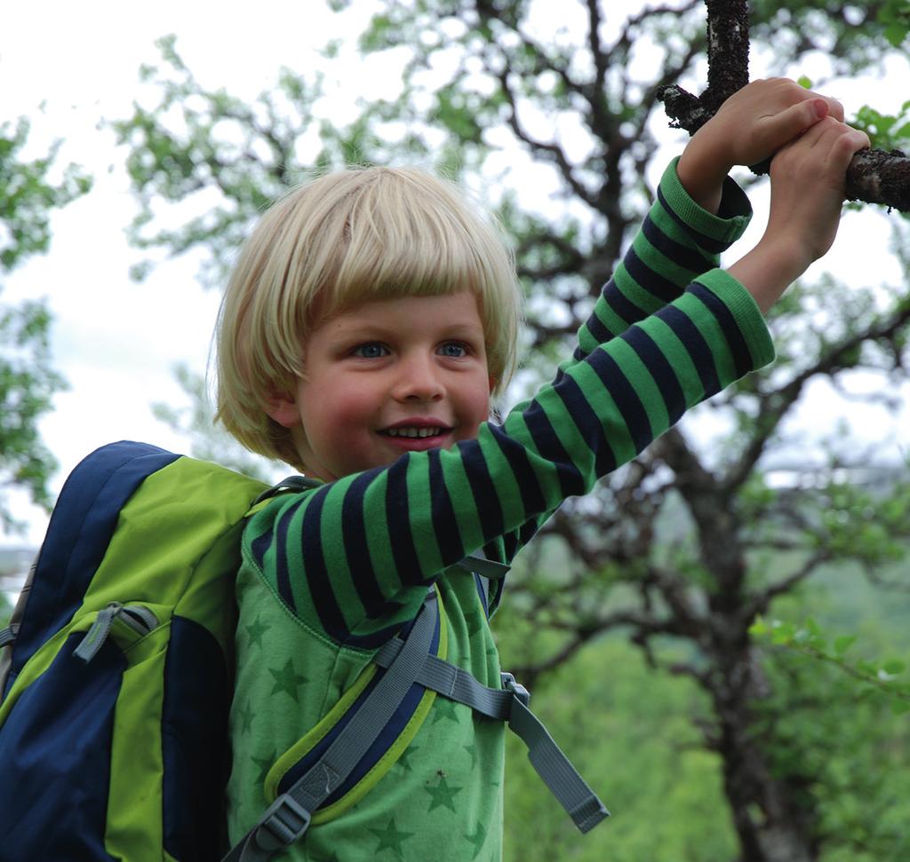 10 Vindskyddet vid Valmen Beräknad tidsåtgång: 6 8 timmar (cirka 12 km) Foto: Christoffer Bergman Från det här vindskyddet med den fantastiska utsikten över Sonfjällets nordöstra sluttning tar man