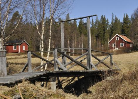 Det finns massor att se och göra. Här är fem förslag på saker som du inte bör missa.