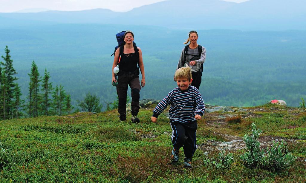 Foto: TAIGA nature & photo 3 Topptur till Högfjället Beräknad tidsåtgång: 6 8 timmar (cirka 11 km) Foto: Jocke Lagercrantz En topptur till Högfjället (1278 m ö.h.) är en givande men ganska krävande heldagstur.