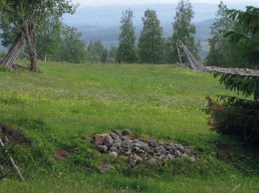 Det biologiska kulturarvet kan ibland vara den pusselbit som saknas för att kunna förstå och tolka ett historiskt skeende.