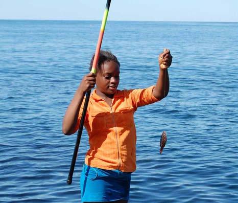 Västerhavsveckans teckningsutmaning SÖNDAG 3 AUGUSTI Tema: Hållbart fiske Närfiskat, fiskeredskap, sportfiske, havens mångfald och betydelse.