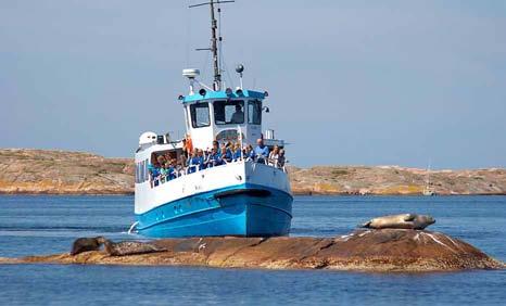 tillverka ditt eget krabbfiskespö! Gör ett och ta med till stranden eller varför inte prova det direkt i Havets Hus krabbfisketävling!