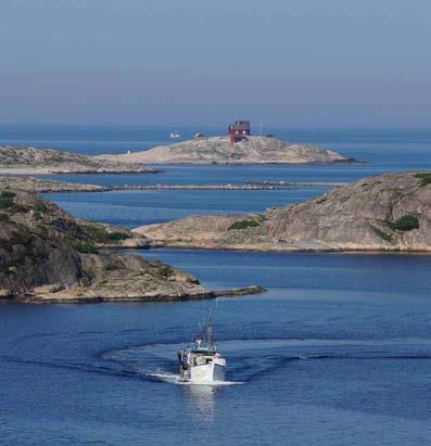 FISKETS DAG PÅ RESÖ 2 AUGUSTI Västerhavsveckans havsverkstad Lär känna djuren i klappakvariet, experimentera och lär mer om vattenkraft, flytkraft, musslors reningsförmåga och mycket mer.