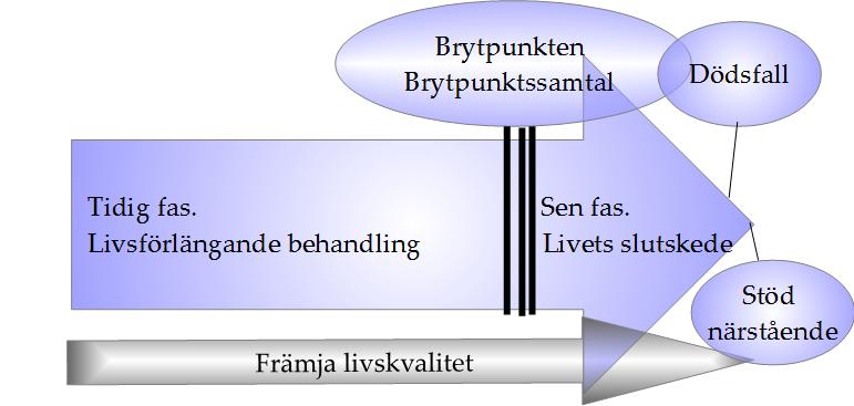 Den palliativa vården delas in i en tidig och sen fas. I båda faserna ska fokus vara att främja livskvalitet för patienten.