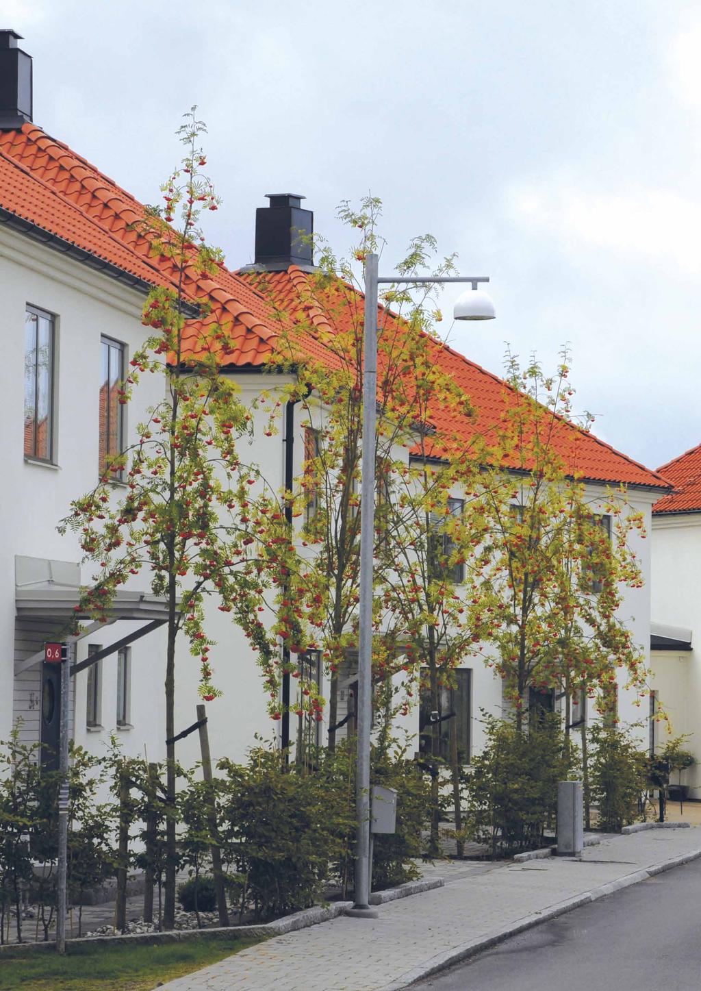 lertegelpanna, halvblank,
