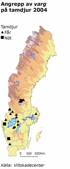 Med okänd menas att angreppet gjordes av björn,