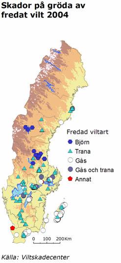 Figur 10. Beviljade bidrag och ersättningar inom delområde Gröda 1997-2004.
