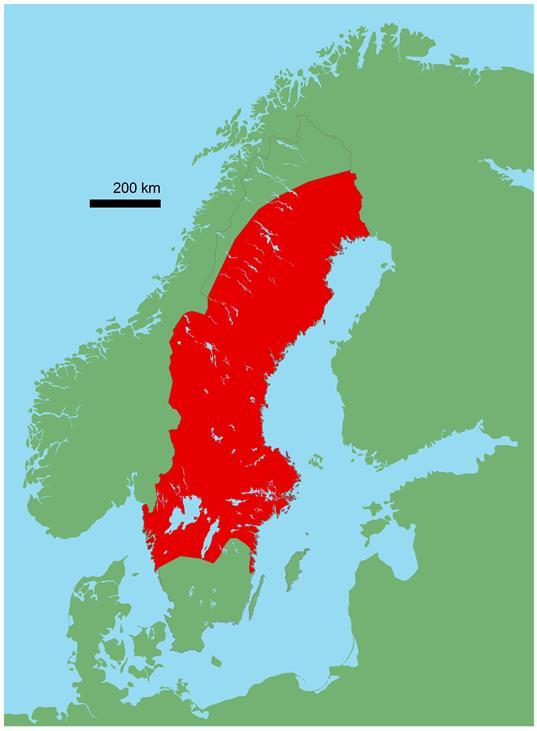 Totalt 80 bävrar från Norge infördes