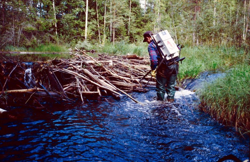 Ekologisk ingenjörsart Förändrar livsmiljön för: Vatten- och landväxter