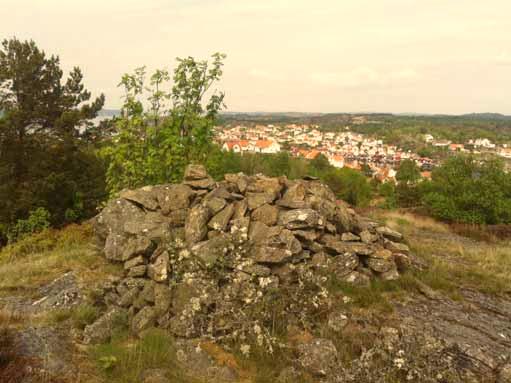 Naturvärdesområde 4 Naturtyp: öppen hällmark med toppröse Naturvärdesklass: III allmänna naturvärden Värdearter och värdestrukturer: stenröse, öppen hällmark Områdets högsta punkt är utmärkt med ett