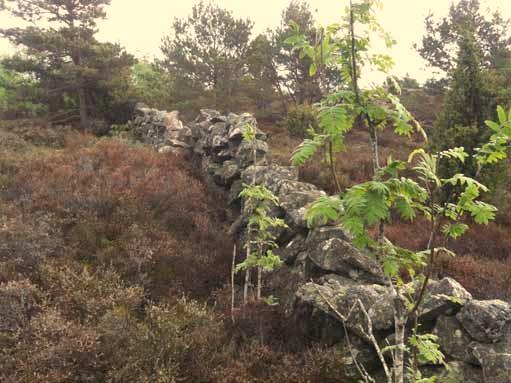 Naturvärdesområde 1 Naturtyp: mindre våtmark Naturvärdesklass: III allmänna naturvärden Värdearter och värdestrukturer: våtmark En mindre våtmark som tidigare varit en öppen damm.