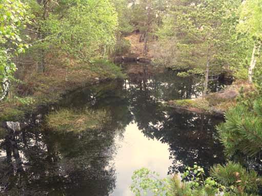 Naturvärdesområde 3 Naturtyp: äldre gles tallskog med damm Naturvärdesklass: III allmänna naturvärden Värdearter och värdestrukturer: småvatten, gles tallskog, död ved Glest tallområde med en mindre