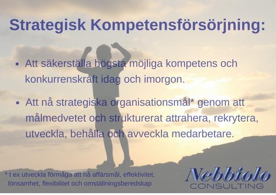 Strategisk kompetensförsörjning Strategisk kompetensförsörjning, vad är det och varför ska vi hålla på med det?