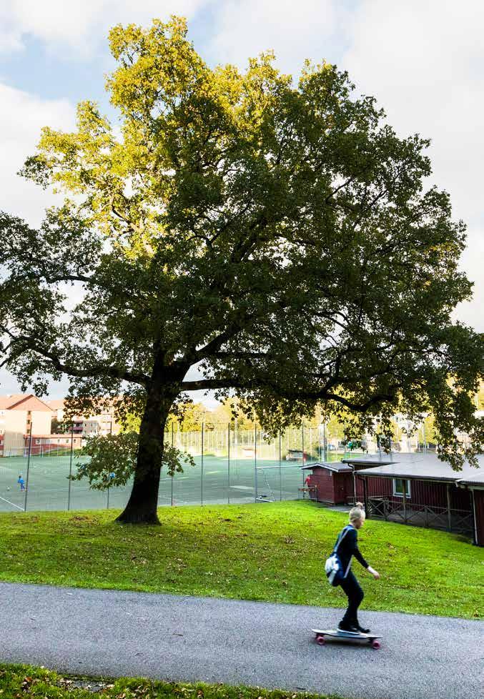 Övriga återrapporteringskrav