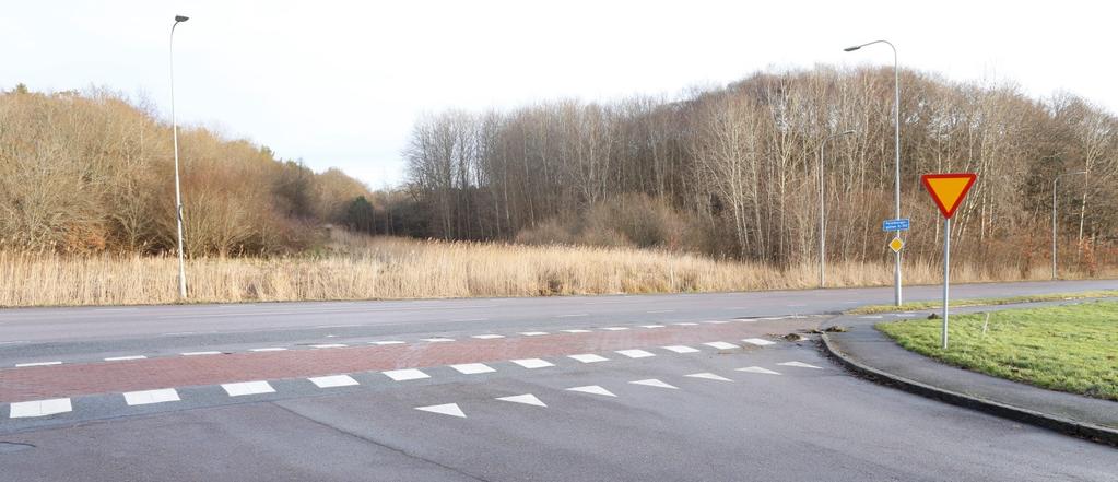 Figur 6.1 Bilden visar korsningen Domarringsgatan/Fornborgsgatan. Den röda markeringen visar den gångstig som leder mot Lilleby Bäckedalsväg och som mynnar ut på Domarringsgatan. GC4.
